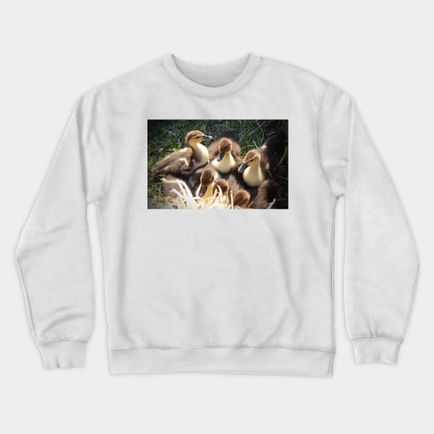 Ducklings Crewneck Sweatshirt by Cynthia48